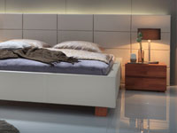 Wasserbett mit Dream-Line Polsterbett Opio L Wasserbett mit Dream-Line Polsterbett Opio L