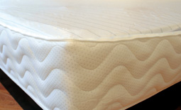 Secure Liner Staubschutz fr Wasserbetten